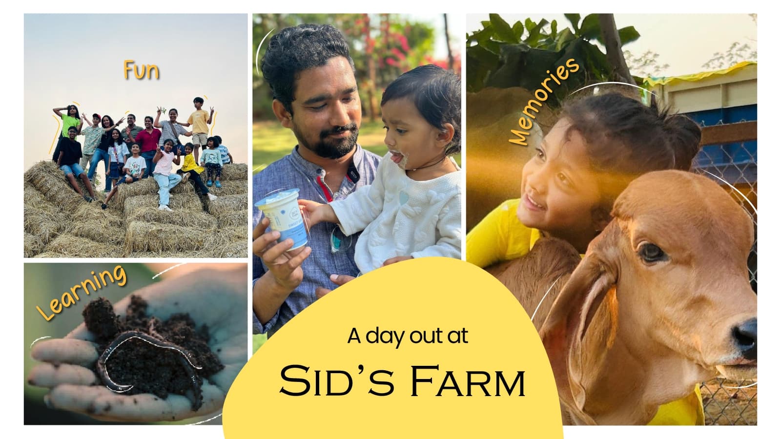 Sid's Farm : Weekend Visit